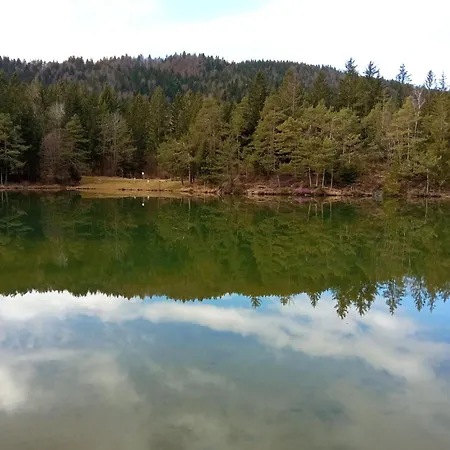 Pine Hill Ruby With Free Jacuzzi בקתה *