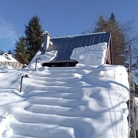 Pine Hill Ruby With Free Jacuzzi בקתה Rakitna