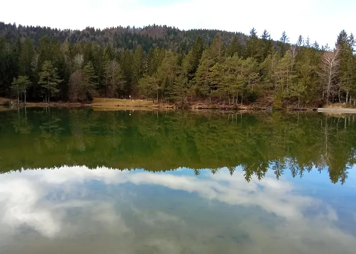 Pine Hill Ruby With Free Jacuzzi Horská chata *